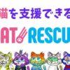 CatRescue NFTとは？買い方は？【保護猫を支援する｜猫庭ともコラボ】